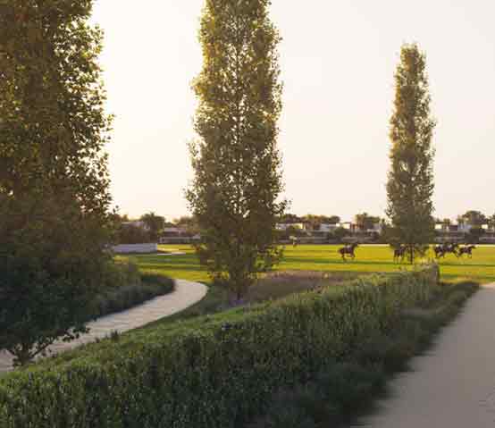 Grand Polo Club & Resort
